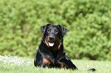 BEAUCERON 913